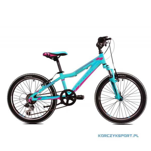 dziecięcy rower górski Northtec Raido Turkusowo-Różowy 20 10 2020 sklep