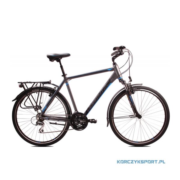 rower trekkingowy Northtec Bergon 28 20 szaro-niebieski 2020 sklep